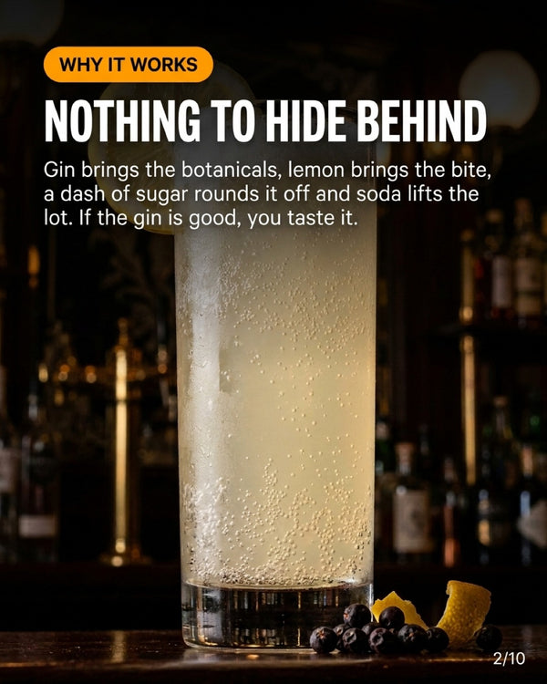 Gin Fizz recipe slide 2